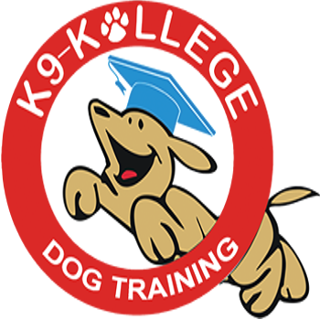 K-9 Kollege Dog Training